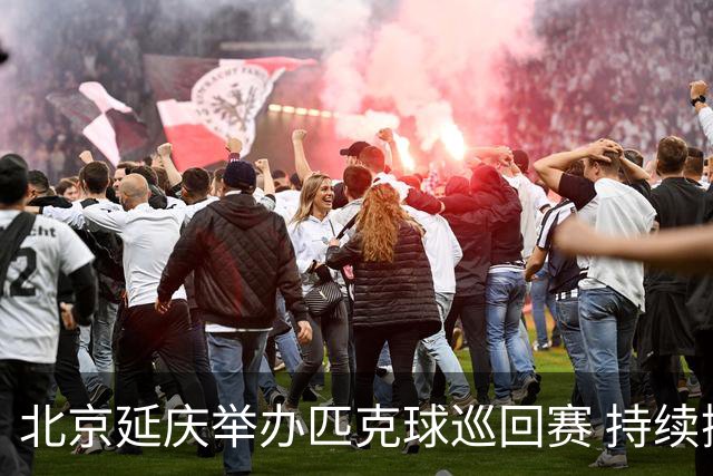 北京延庆举办匹克球巡回赛 持续擦亮户外运动城市名片