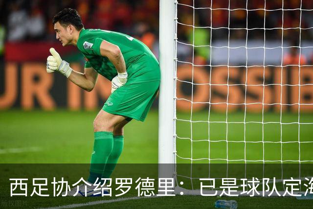 西足协介绍罗德里：已是球队定海神针，带领年轻球员向世界杯冲击